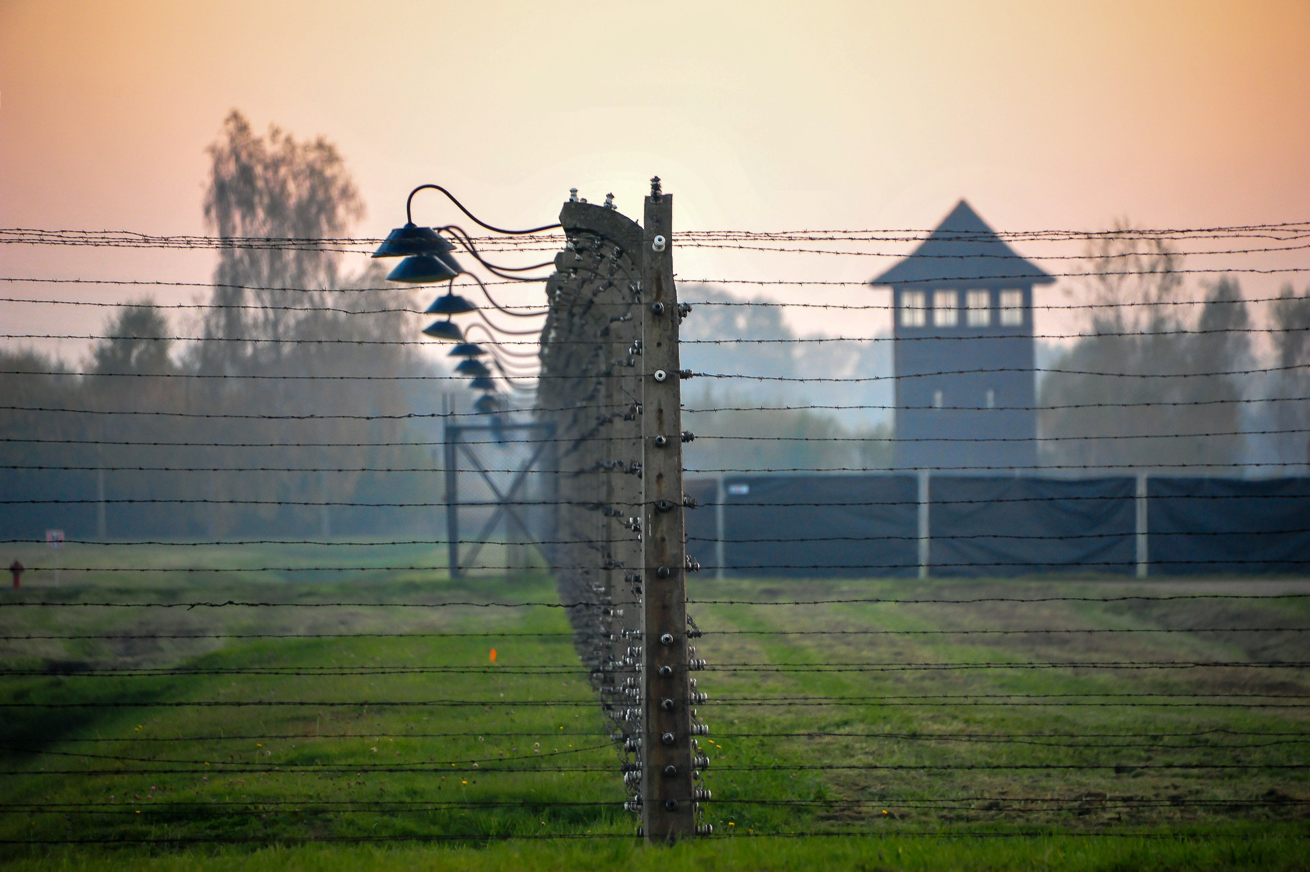 tour auschwitz italiano